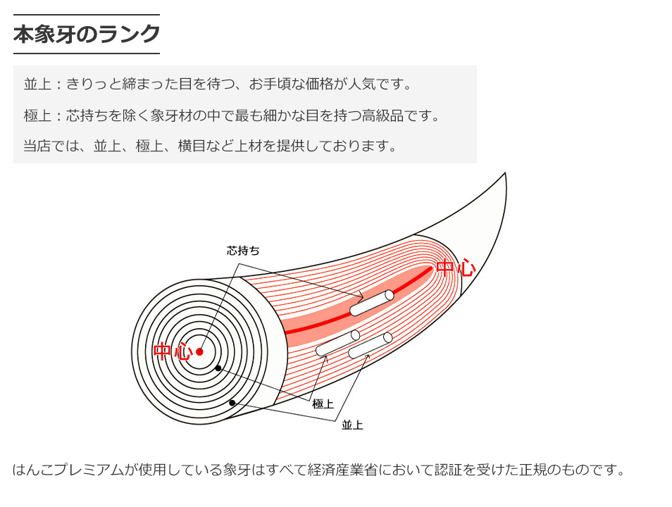 本象牙（並上）寸胴 会社銀行印16.5mm_象牙印鑑　縁起_法人銀行印の通販店Yinkan