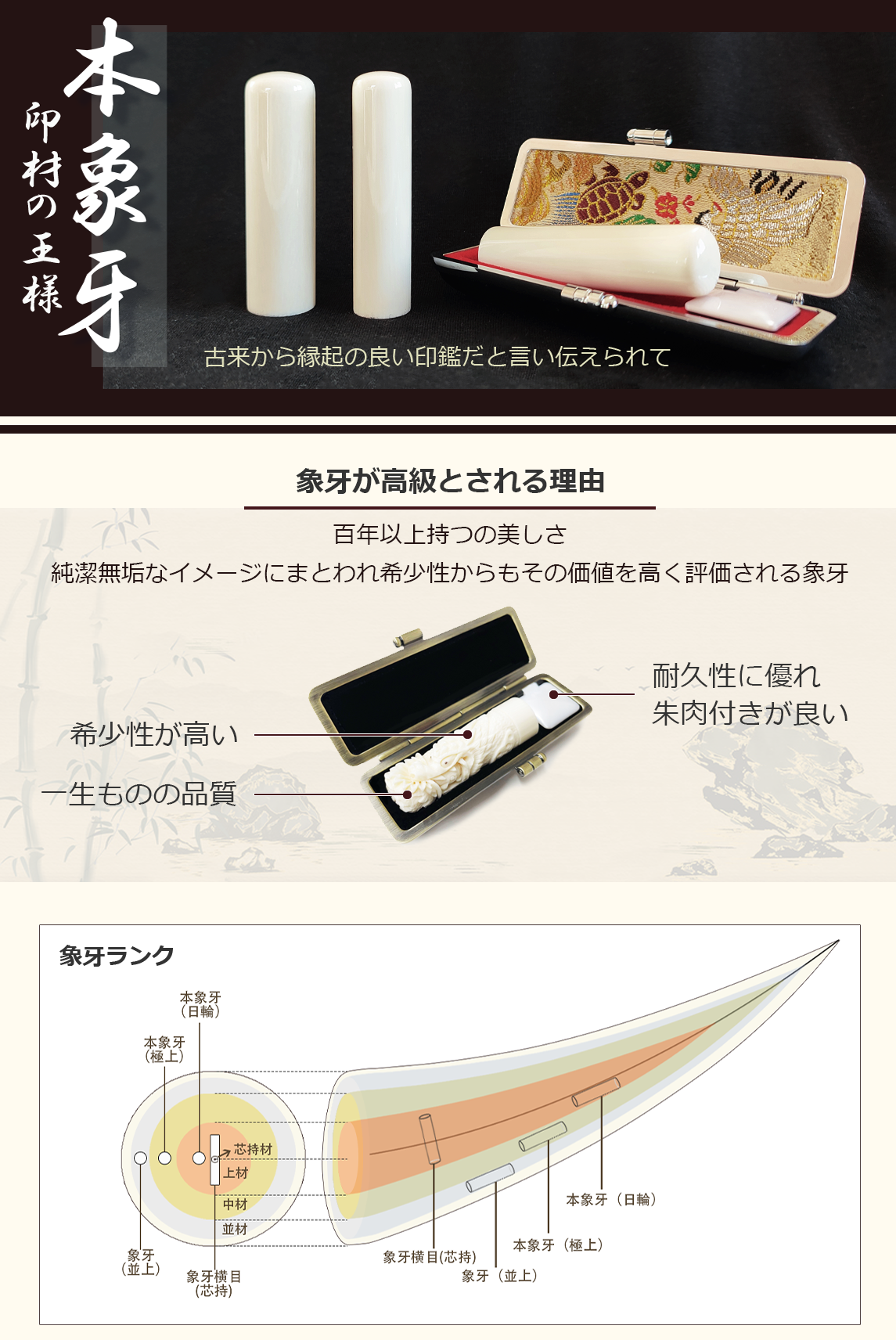 本象牙横目（日輪）認印12.0mm~13.5mm_希少印材_象牙印鑑の専門通販店YInkan