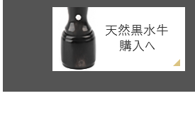 天然黒水牛 会社銀行印（天丸タイプ）の通販サイト会社実印・代表者印の通販サイト_法人印鑑の激安通販店-YINKAN.COM