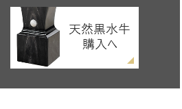 会社角印_天然黒水牛（染め無し）_法人印鑑の激安通販店-YINKAN.COM